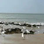 Relaxing Escape In * كنوك هايست