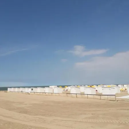 Relaxing Escape In *