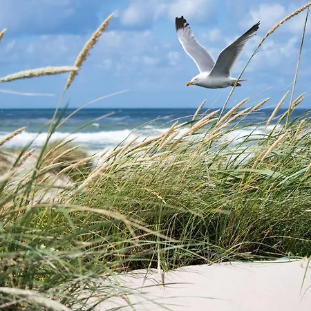 Relaxing Escape In Knokke-Heist