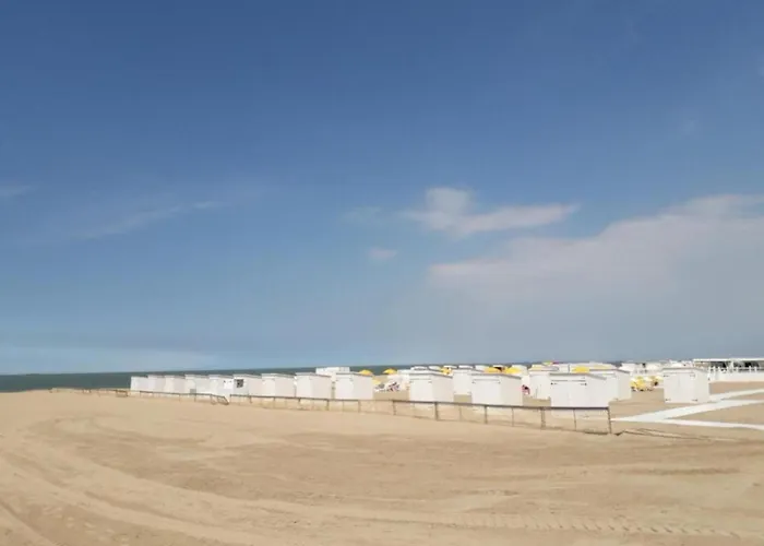 Relaxing Escape In *