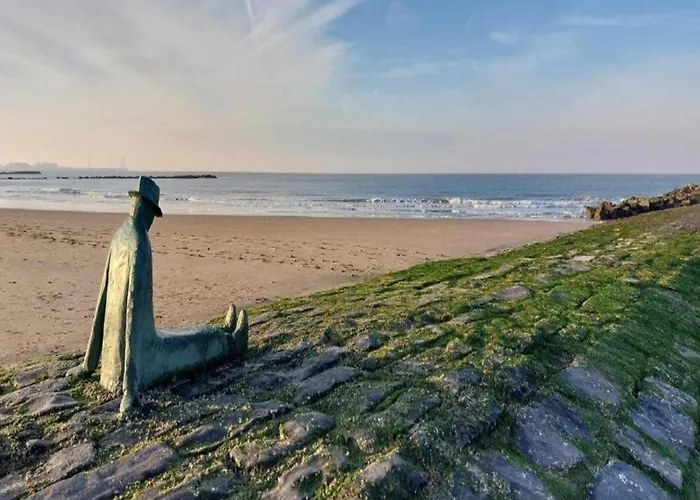 Relaxing Escape In Кнокке-Хейст