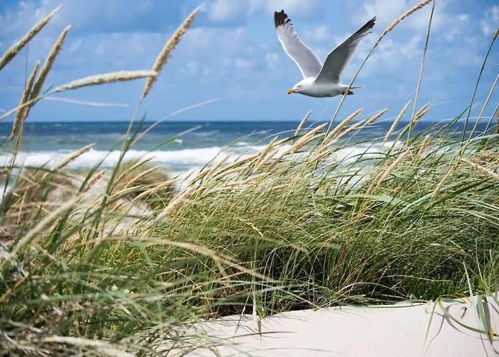 Relaxing Escape In Кнокке-Хейст